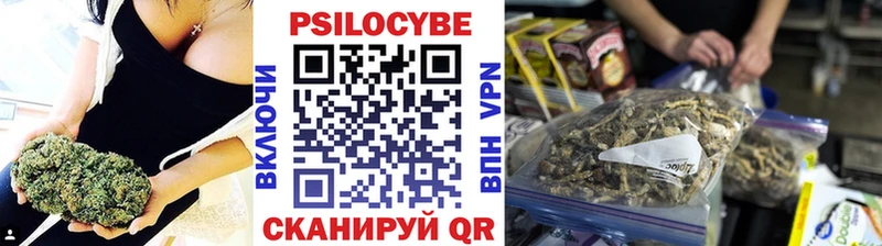 магазин    Омск  Псилоцибиновые грибы прущие грибы 