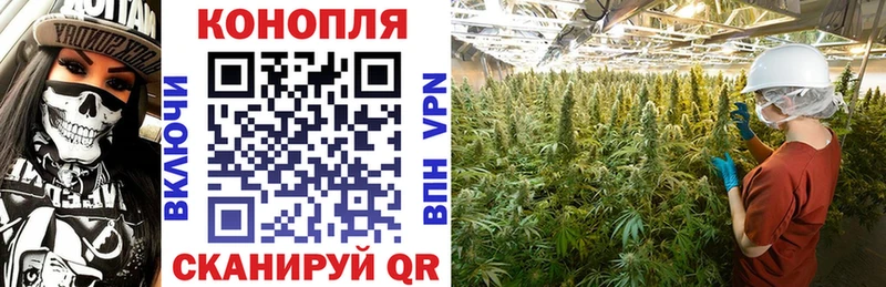 Шишки марихуана THC 21% Омск